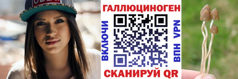 Псилоцибиновые грибы мицелий  купить закладку  МЕГА ССЫЛКА  Пестово 